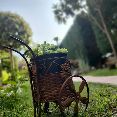 아파트호텔 Anassa Deluxe & 3*