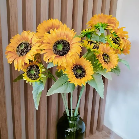 아파트호텔 Anassa Deluxe & 3*