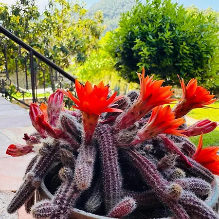 Anassa Deluxe & 아파트호텔 스칼라 포타미아스