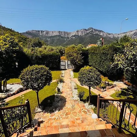 Anassa Deluxe & 스칼라 포타미아스