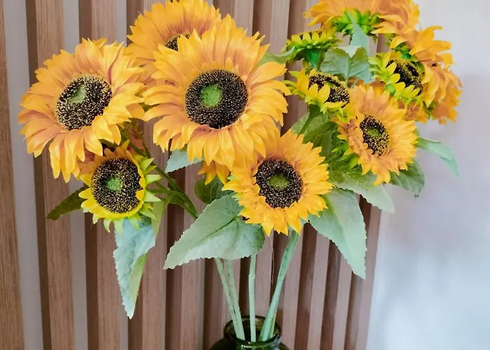 Apart Otel Anassa Deluxe & 3*