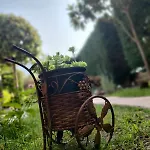 Ξενοδοχείο με διαμερίσματα Anassa Deluxe & 3*
