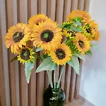 Ξενοδοχείο με διαμερίσματα Anassa Deluxe & 3*
